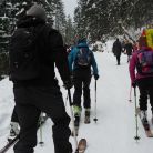 Trasa skitourowa z Kuźnic na Polanę Kalatówki - skitury - skitourowe zakopane - Zakopane