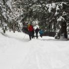 Trasa skitourowa z Kuźnic na Polanę Kalatówki - skitury - skitourowe zakopane - Zakopane