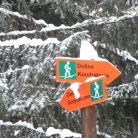 Trasa skitourowa z Kuźnic na Kopę Kondracką - skitury - skitourowe zakopane - Zakopane