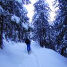 Trasa skitourowa z Kuźnic na Kozią Przełęcz - skitury - skitourowe zakopane - Zakopane