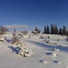 Trasa skitourowa z Witowa na Magurę Witowską - skitury - skitourowe zakopane - Witów