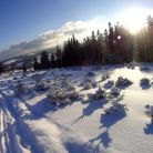 Skitourowe Zakopane. Trasa  z Witowa na Magurę Witowską