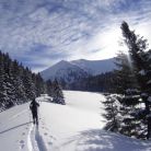 Skitourowe Zakopane. Trasa z Doliny Małej Łąki przez Dolinę Kościeliską i Miętusią do Doliny Tomanowej