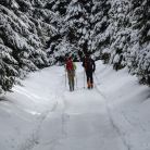 Trasa z Dol. Chochołowskiej na Trzydniowiański Wierch - skitury - skitourowe zakopane - Witów
