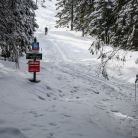 Trasa z Dol. Chochołowskiej na Trzydniowiański Wierch - skitury - skitourowe zakopane - Witów