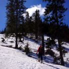 Trasa z Dol. Chochołowskiej na Trzydniowiański Wierch - skitury - skitourowe zakopane - Witów