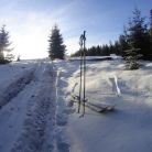 Trasa skitourowa z Witowa na Magurę Witowską 2 - skitury - skitourowe zakopane - Witów