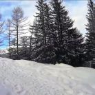 Trasa skitourowa z Kuźnic na Halę Gąsienicową - skitury - skitourowe zakopane - Zakopane