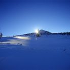 Trasa skitourowa z Kuźnic na Halę Gąsienicową - skitury - skitourowe zakopane - Zakopane