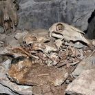 Jaskinia Staniszowska - jaskinie - jaskinia - Tatry