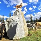 Tatrzańskie ZOO - dla dzieci - atrakcja dla dzieci - Zakopane