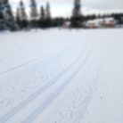 Trasy biegowe zachodnie - OLIMP - trasy biegowe - trasa biegowa - Zakopane