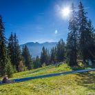 Zjeżdżalnia grawitacyjna Gubałówka - dla dzieci - zjeżdżalnia - Zakopane