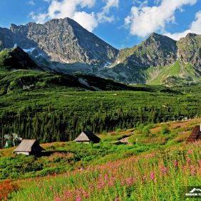 Dolina Gąsienicowa / Hala Gąsienicowa