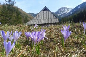 Dolina Jaworzynka - doliny - dolina - Tatry