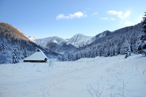 Dolina Jaworzynka - doliny - dolina - Tatry