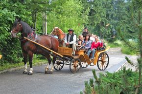 Kulig letni Jędruś -  -  - Zakopane