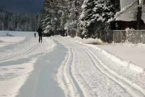 Trasa Biegowa w Kościelisku - trasy biegowe - trasa biegowa - Kościelisko