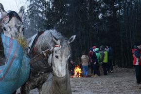 Kulig Murzasichle -  -  - Murzasichle