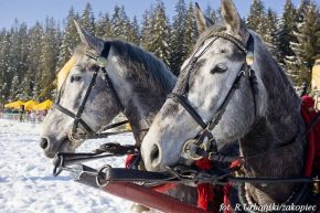 Kulig panoramiczny z pochodniami -  -  - Zakopane