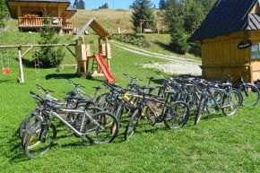 Wypożyczalnia rowerów i sprzętu rekreacyjnego - u Holka - wypożyczalnie rowerów - wypożyczalnia rowerów - Witów