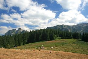Dolina Miętusia - doliny - dolina - Tatry