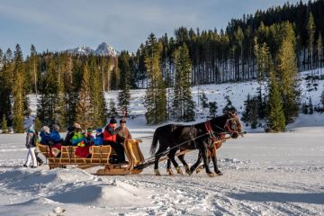 Kulig Dolina Kościeliska Janosik Travel - kuligi - kulig - Kościelisko