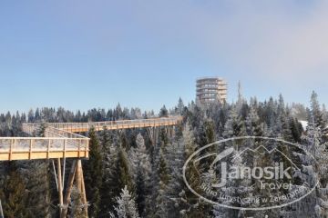 Ścieżka koronami drzew Słowacja - z przewodnikiem - wycieczka z przewodnikiem - Zakopane