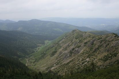 Dolina Jaworzynki