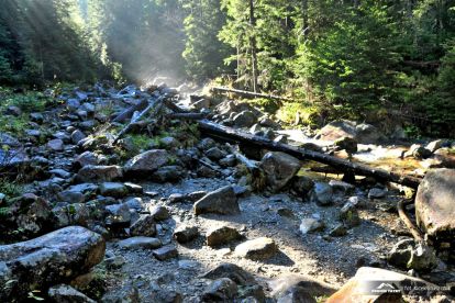 Dolina Waksmundzka - Waksmundzki Potok
