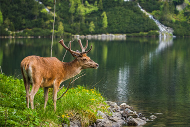 Atrakcje turystyczne w Zakopanem Morskie Oko